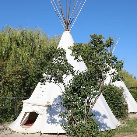 Storchencamp Gaestehaus 루스트 외부 사진